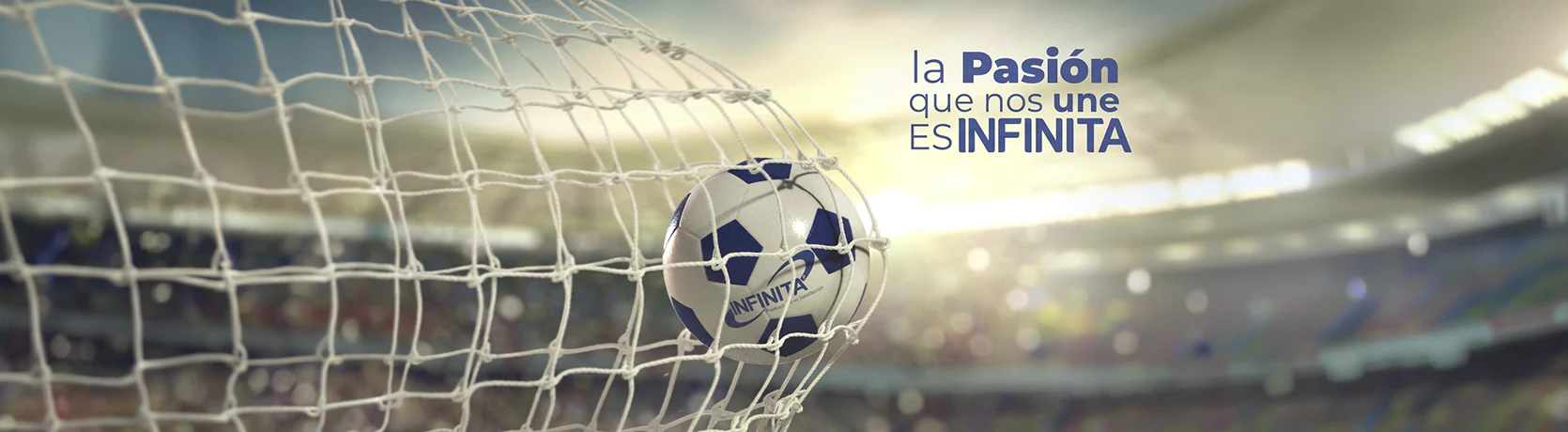 Calidad infinita para cada proyecto
